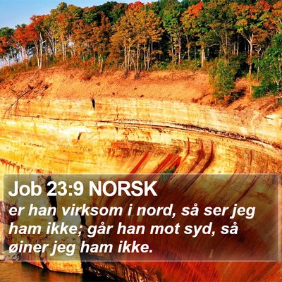 Job 23:9 NORSK Bible Verse Image