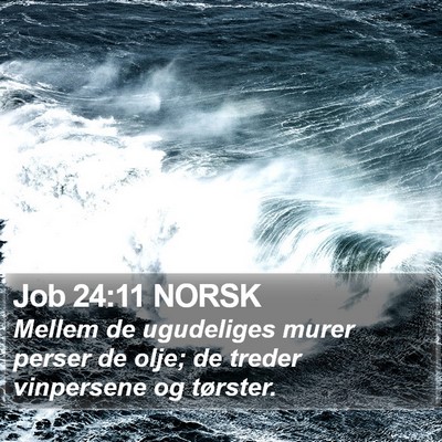 Job 24:11 NORSK Bible Verse Image