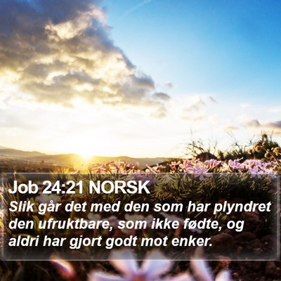Job 24:21 NORSK Bible Verse Image