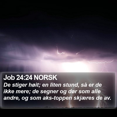 Job 24:24 NORSK Bible Verse Image