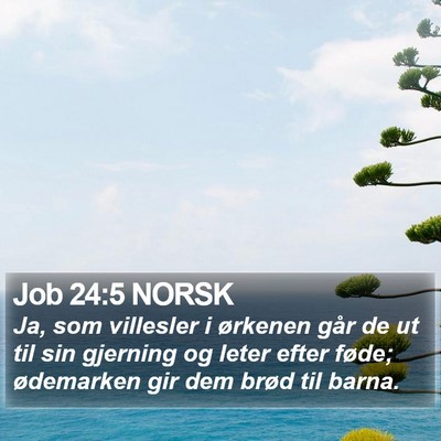 Job 24:5 NORSK Bible Verse Image
