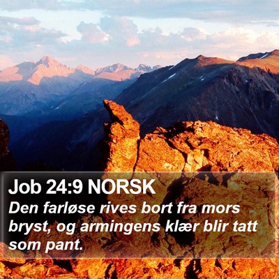 Job 24:9 NORSK Bible Verse Image