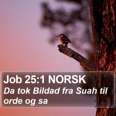 Job 25:1 NORSK Bible Verse Image