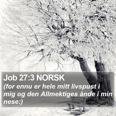 Job 27:3 NORSK Bible Verse Image
