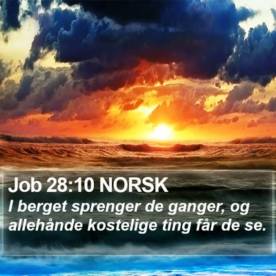 Job 28:10 NORSK Bible Verse Image