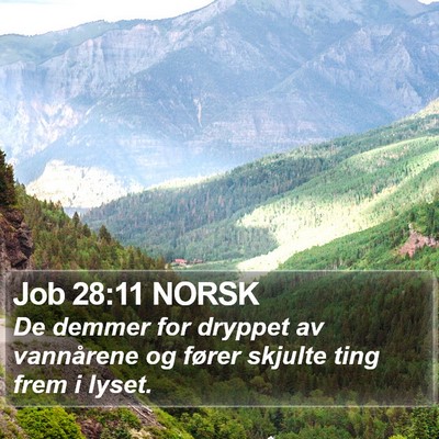 Job 28:11 NORSK Bible Verse Image