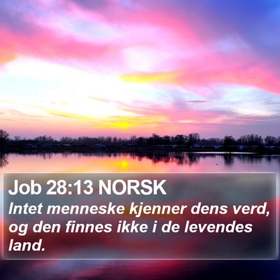 Job 28:13 NORSK Bible Verse Image