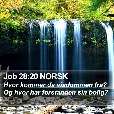 Job 28:20 NORSK Bible Verse Image