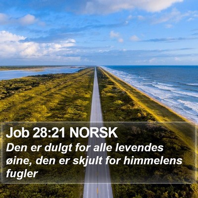 Job 28:21 NORSK Bible Verse Image