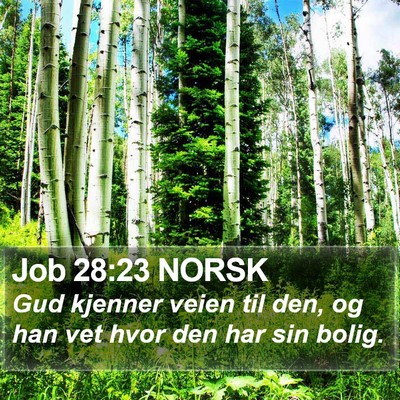 Job 28:23 NORSK Bible Verse Image