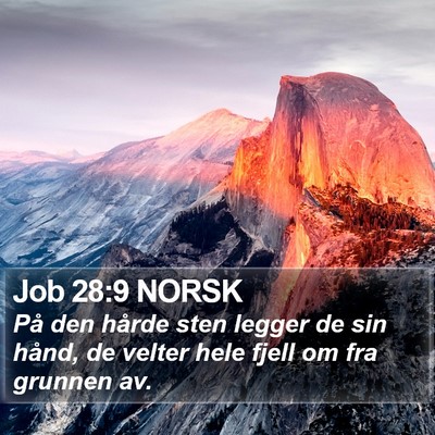 Job 28:9 NORSK Bible Verse Image