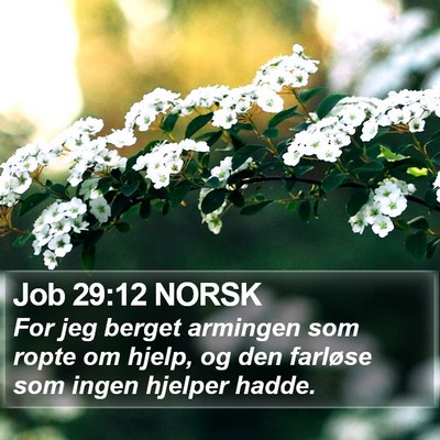 Job 29:12 NORSK Bible Verse Image