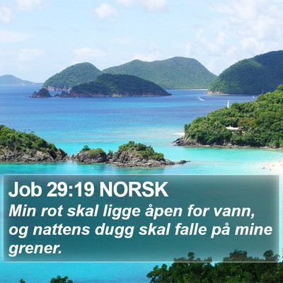 Job 29:19 NORSK Bible Verse Image