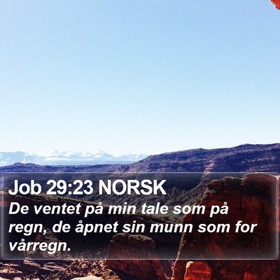 Job 29:23 NORSK Bible Verse Image