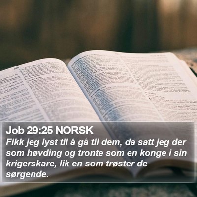 Job 29:25 NORSK Bible Verse Image