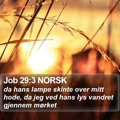 Job 29:3 NORSK Bible Verse Image