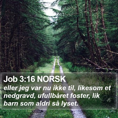 Job 3:16 NORSK Bible Verse Image