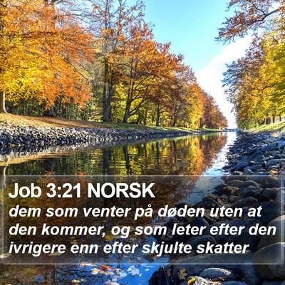 Job 3:21 NORSK Bible Verse Image