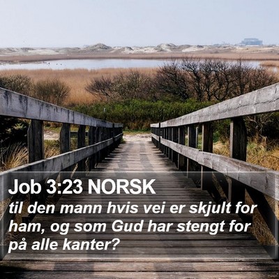 Job 3:23 NORSK Bible Verse Image