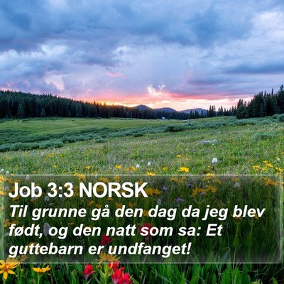 Job 3:3 NORSK Bible Verse Image