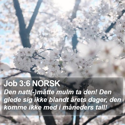 Job 3:6 NORSK Bible Verse Image