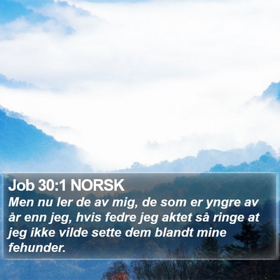 Job 30:1 NORSK Bible Verse Image