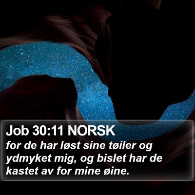 Job 30:11 NORSK Bible Verse Image
