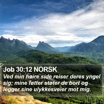 Job 30:12 NORSK Bible Verse Image