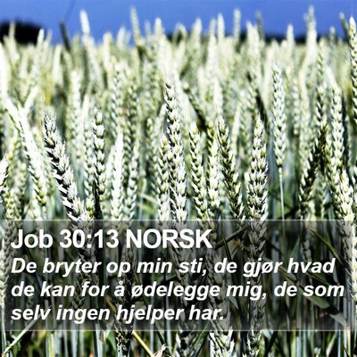 Job 30:13 NORSK Bible Verse Image