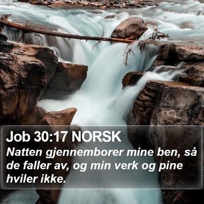 Job 30:17 NORSK Bible Verse Image