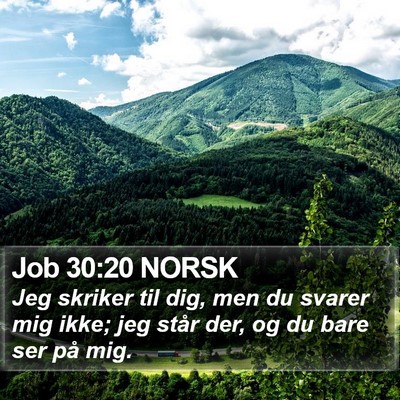 Job 30:20 NORSK Bible Verse Image