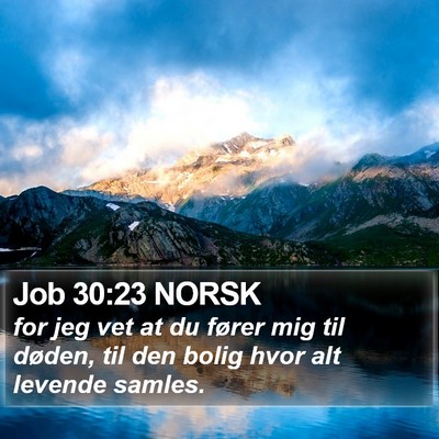 Job 30:23 NORSK Bible Verse Image