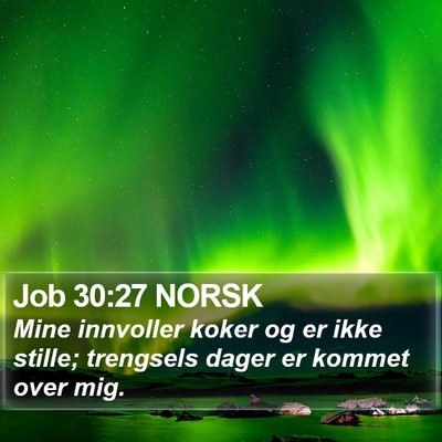 Job 30:27 NORSK Bible Verse Image
