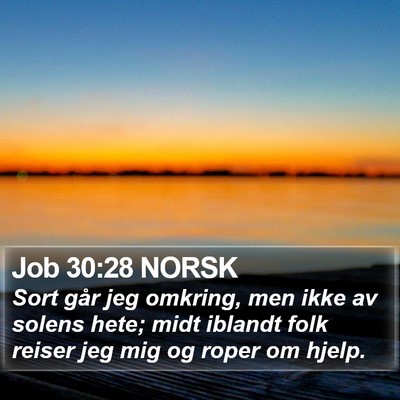 Job 30:28 NORSK Bible Verse Image