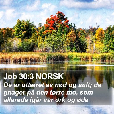 Job 30:3 NORSK Bible Verse Image