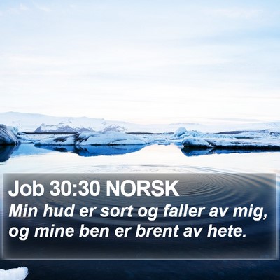 Job 30:30 NORSK Bible Verse Image