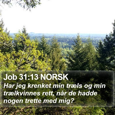 Job 31:13 NORSK Bible Verse Image