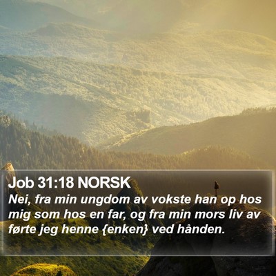 Job 31:18 NORSK Bible Verse Image