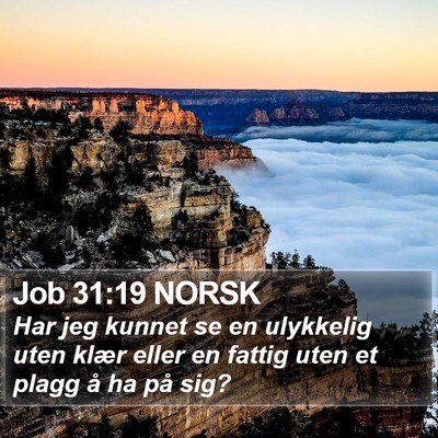 Job 31:19 NORSK Bible Verse Image