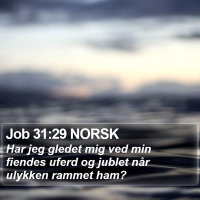 Job 31:29 NORSK Bible Verse Image