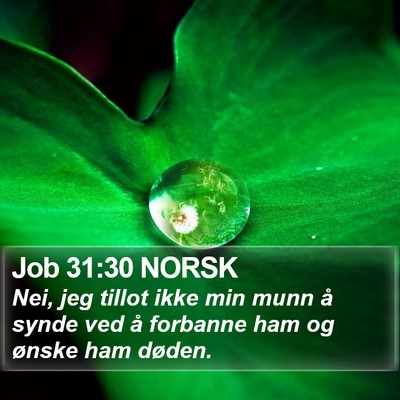 Job 31:30 NORSK Bible Verse Image