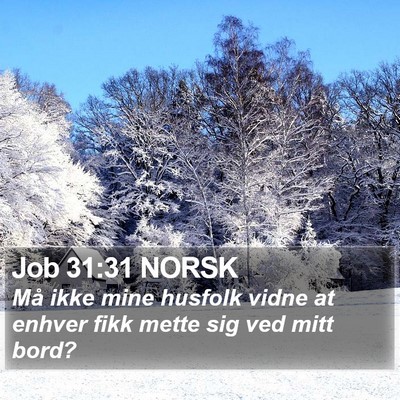 Job 31:31 NORSK Bible Verse Image