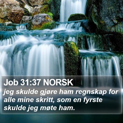 Job 31:37 NORSK Bible Verse Image