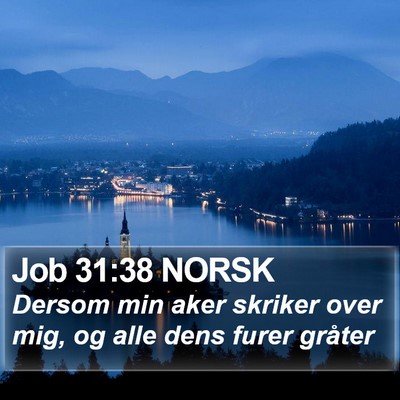 Job 31:38 NORSK Bible Verse Image