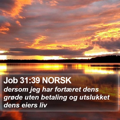Job 31:39 NORSK Bible Verse Image