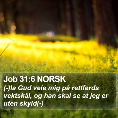 Job 31:6 NORSK Bible Verse Image