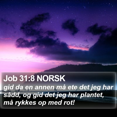 Job 31:8 NORSK Bible Verse Image
