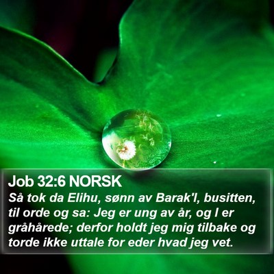 Job 32:6 NORSK Bible Verse Image