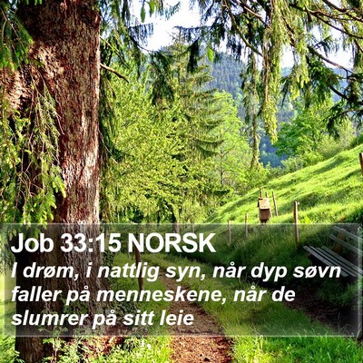 Job 33:15 NORSK Bible Verse Image
