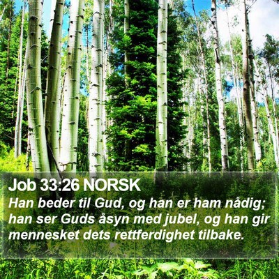 Job 33:26 NORSK Bible Verse Image